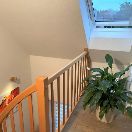 Spreedeich Werben (Brandenburg)