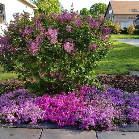 Spreedeich Feriehus *