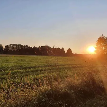 Spreedeich Werben (Brandenburg)