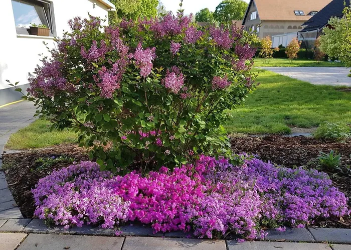 Spreedeich Casa de Férias Werben (Brandenburg)