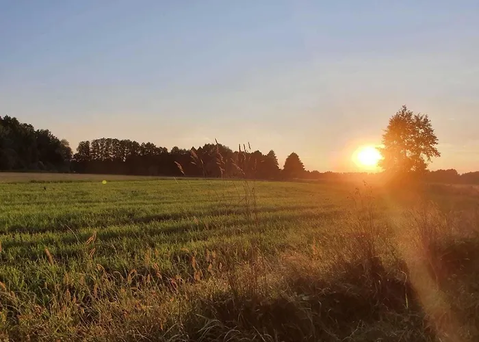 Spreedeich Werben (Brandenburg)